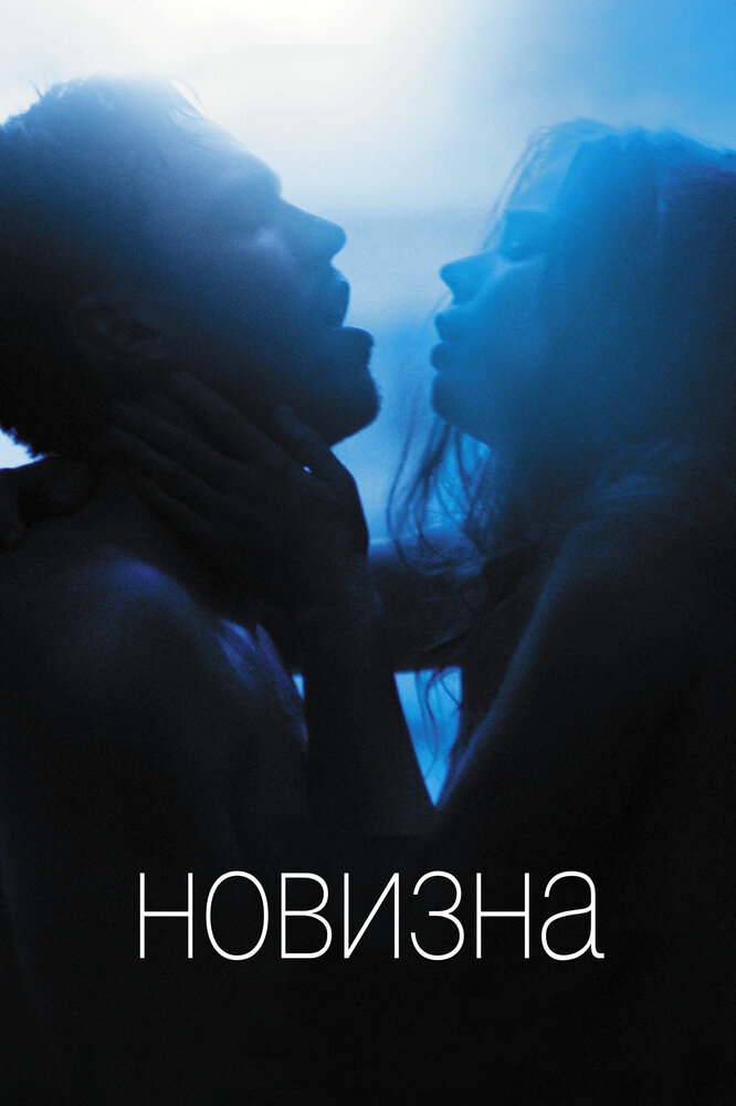 Новизна (2017)